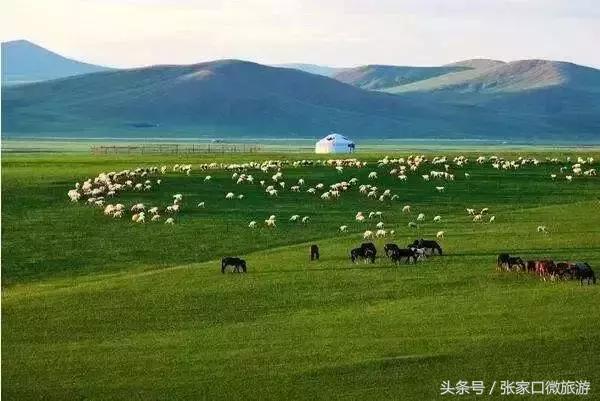 张家口避暑好去处推荐,张家口夏日旅游推荐
