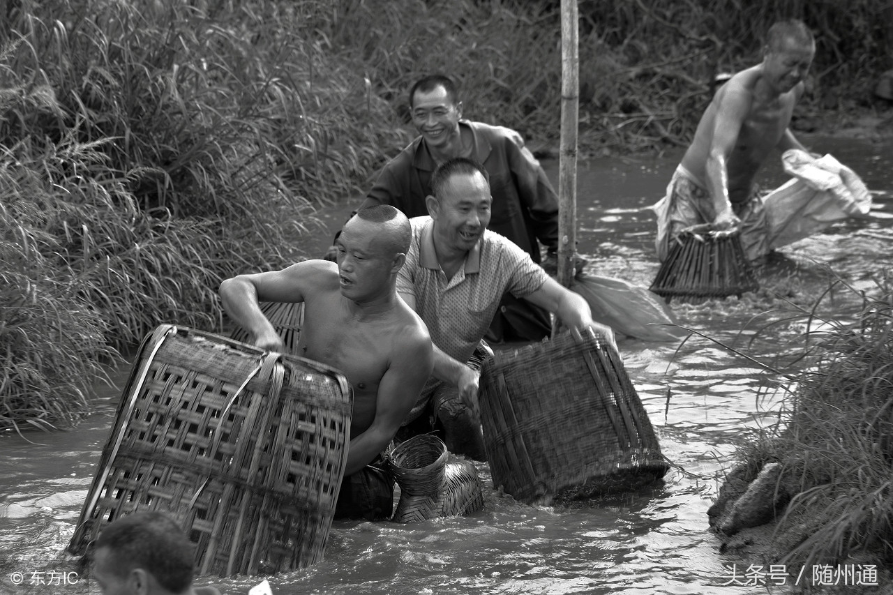 六一儿童节快乐！致我们逝去的童年，儿时回忆之“罩鱼”