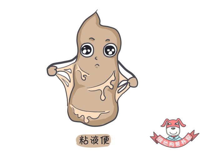 关于便便你不知道的知识,有关便便的知识