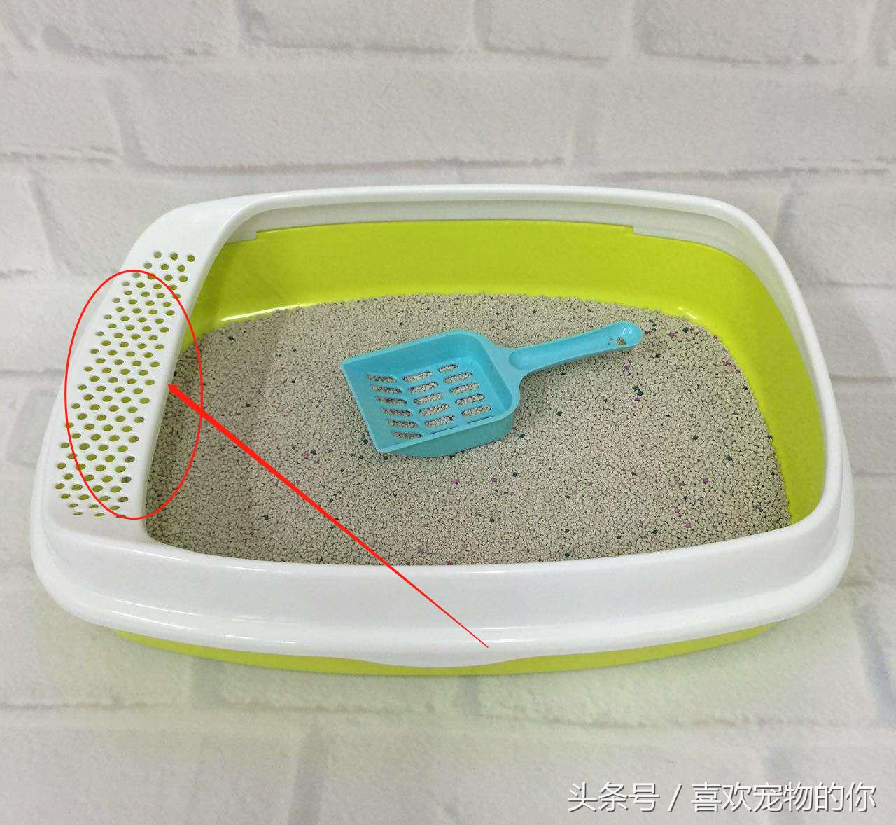 猫砂的处理方法,哪种猫砂不容易被猫弄出来