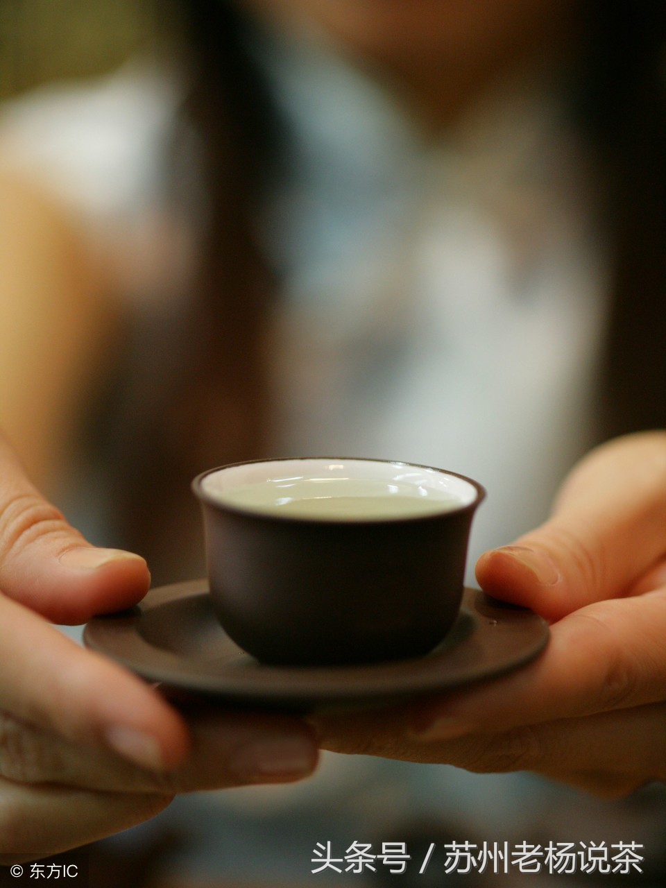 老杨说茶推荐,老杨说普洱