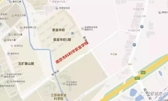 科利华的“亲儿子”来了!全部骨干教师配备!玄武区最牛公办初中新分校招生启动