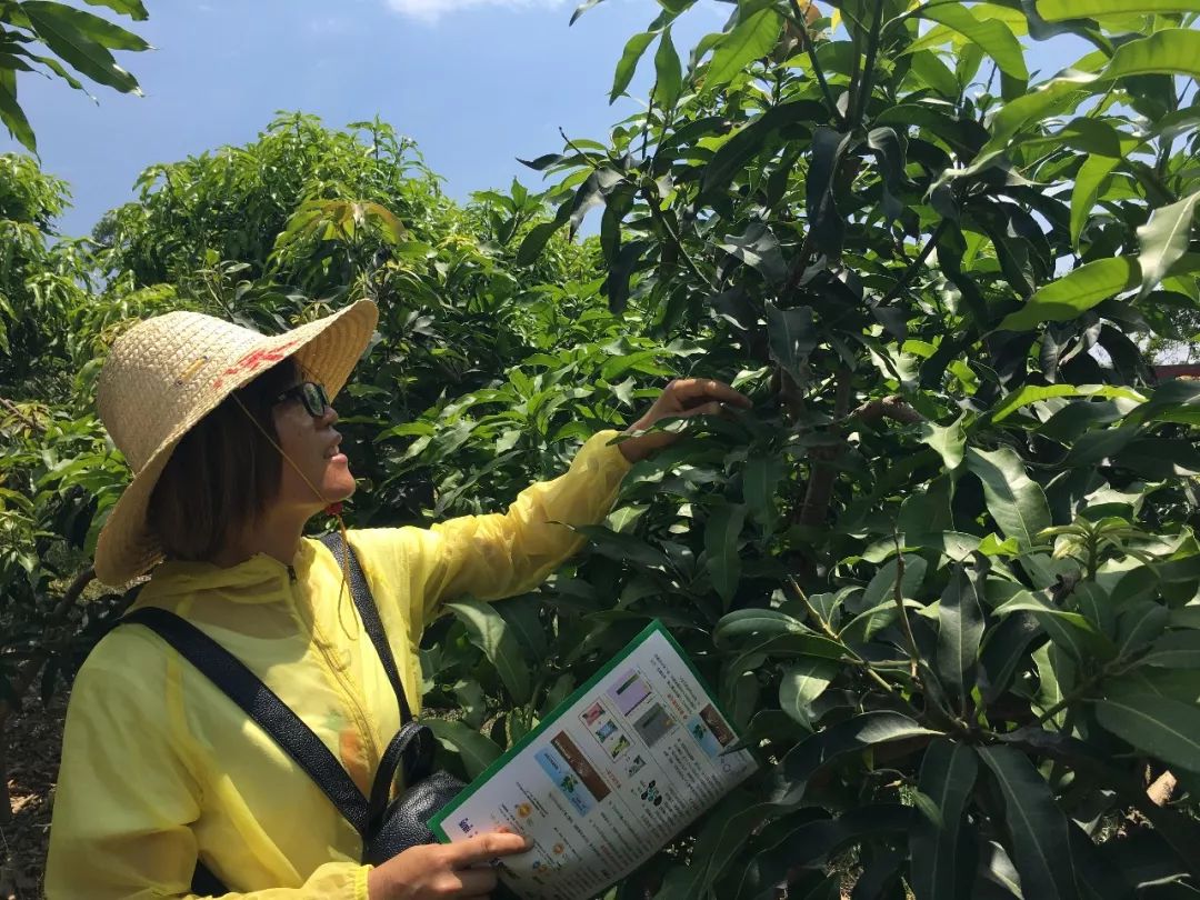 肥料销售利润,肥料经销商一年卖一千吨肥料