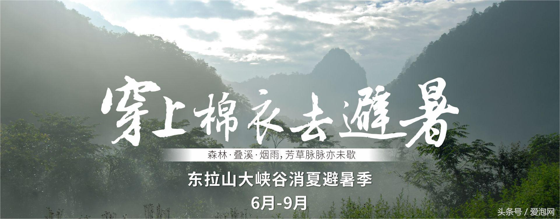 雅安川西竹海必去的三个地方,雅安东拉山大峡谷游记