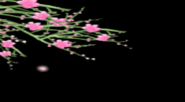 闆ㄥ悗鍒濇櫞鏄ュ厜鏄庡獨,闆ㄥ悗鍒濇櫞鏄ユ剰鐩庣劧