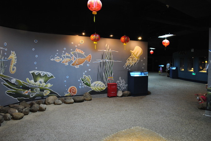 大玲子和爸妈去旅行三亚,带家人去三亚玩都不满意