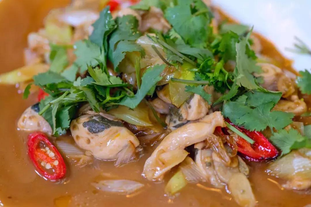 大象拔蚌最好吃的做法,象拔蚌干蚌湿蚌哪个好吃