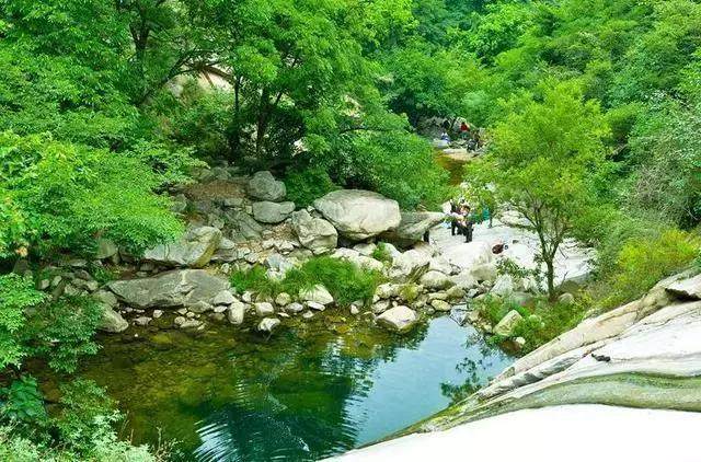 河南县城森林公园,河南有哪些森林生态旅游资源