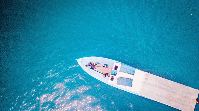 美娜多潜水圣地,印尼美娜多海豚潜水