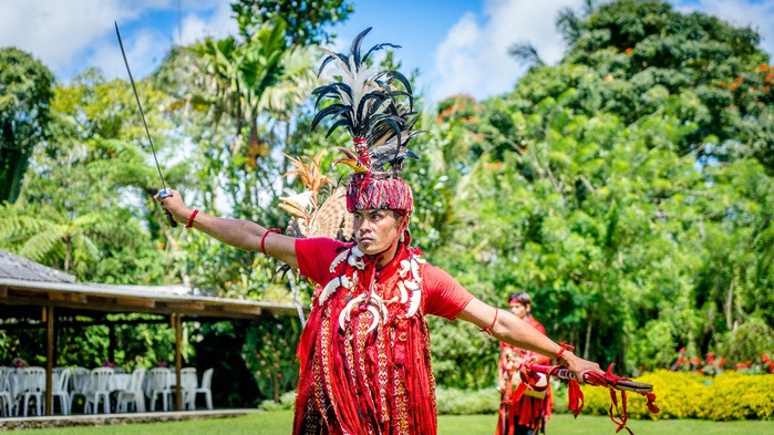 美娜多潜水圣地,印尼美娜多海豚潜水