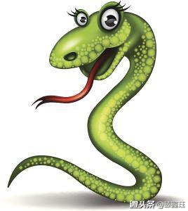 母亲属蛇女儿属猪相克吗,属猪女与属蛇男相克吗