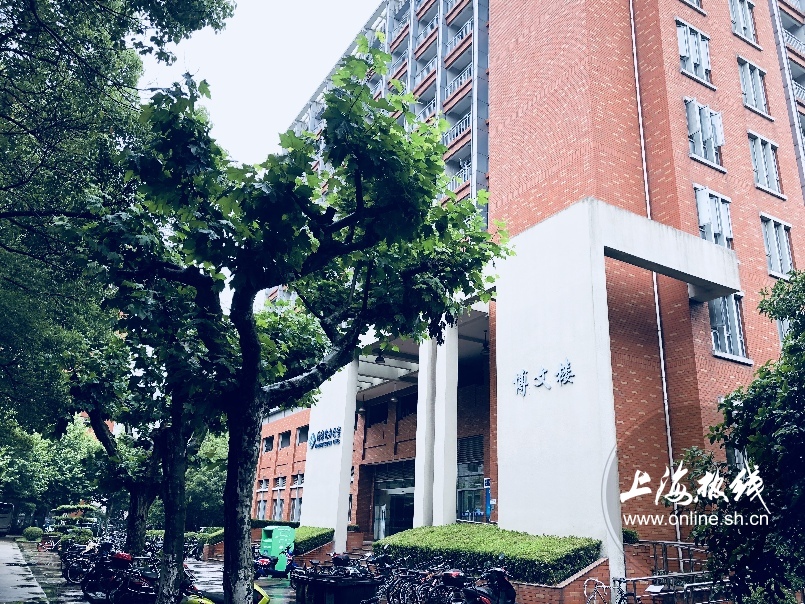 绿树成荫景色宜人清新空气,绿树成荫环境优美空气清新