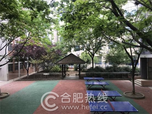 走近身边的好学校,走进身边好学校