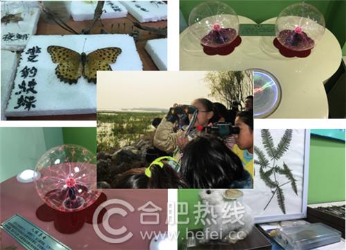 走近身边的好学校,走进身边好学校