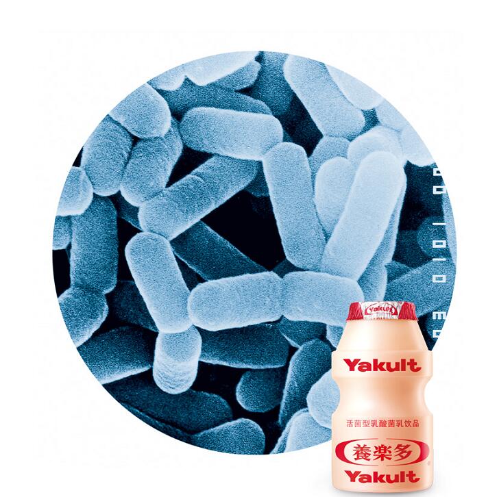 养乐多成都分公司地址,养乐多中国集团