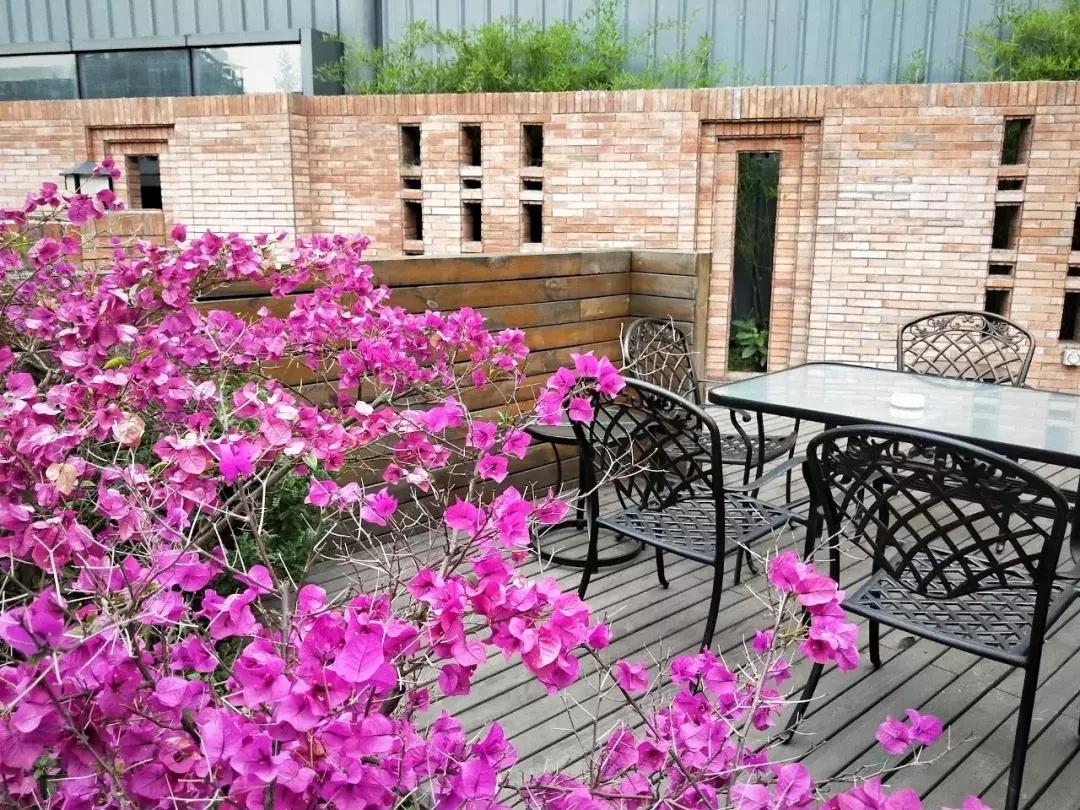 成都看世界杯推荐去处,成都有哪些天台