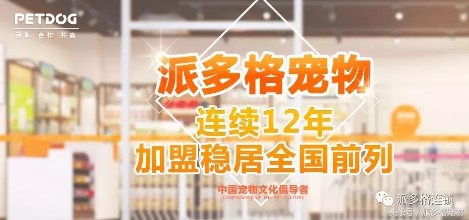 派多格宠物店加盟排行榜,派多格宠物店加盟哪个品牌好