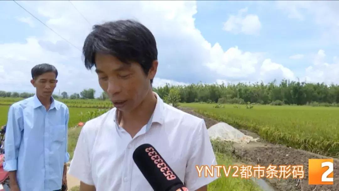 西双版纳找到最大陨石,中国陨石爱好者之如何寻找陨石