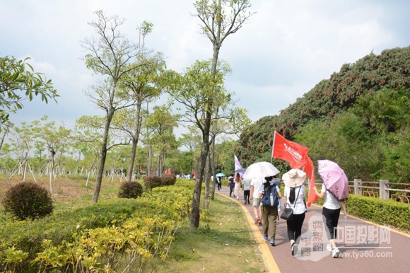 绝顶为峰，视听人凤凰山聚首