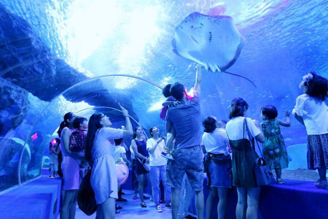 贵州旅游避暑推荐地点有哪些景点,贵州避暑旅游线路整理推荐