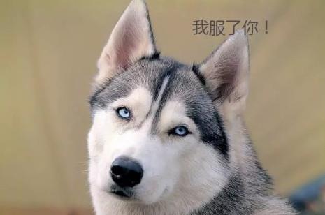 开心一刻一年级,开心一刻小男孩