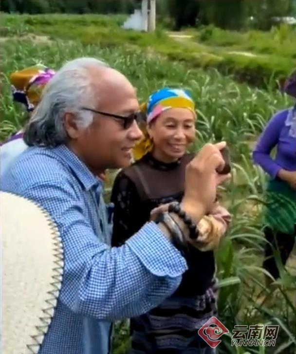 云南陨石坠落拍卖,云南省的石陨石坠落