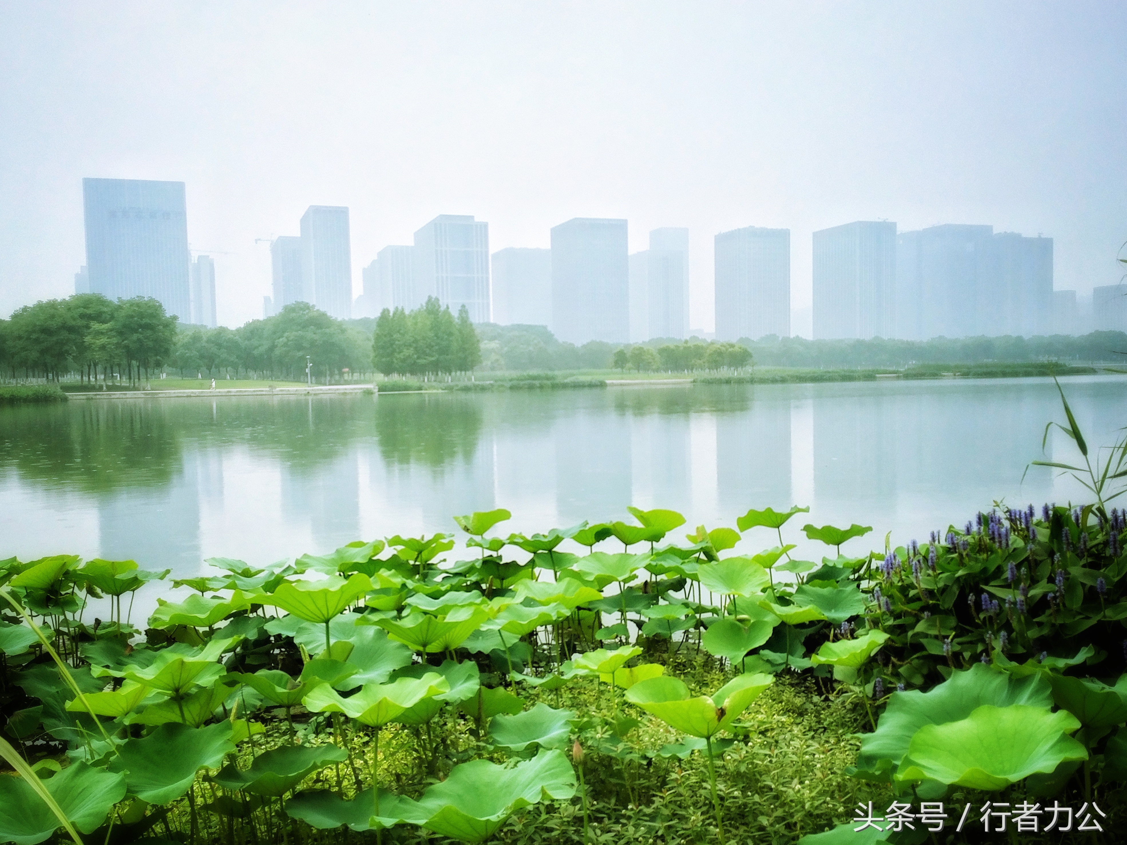 尚贤河湿地公园攻略,尚贤河湿地景点