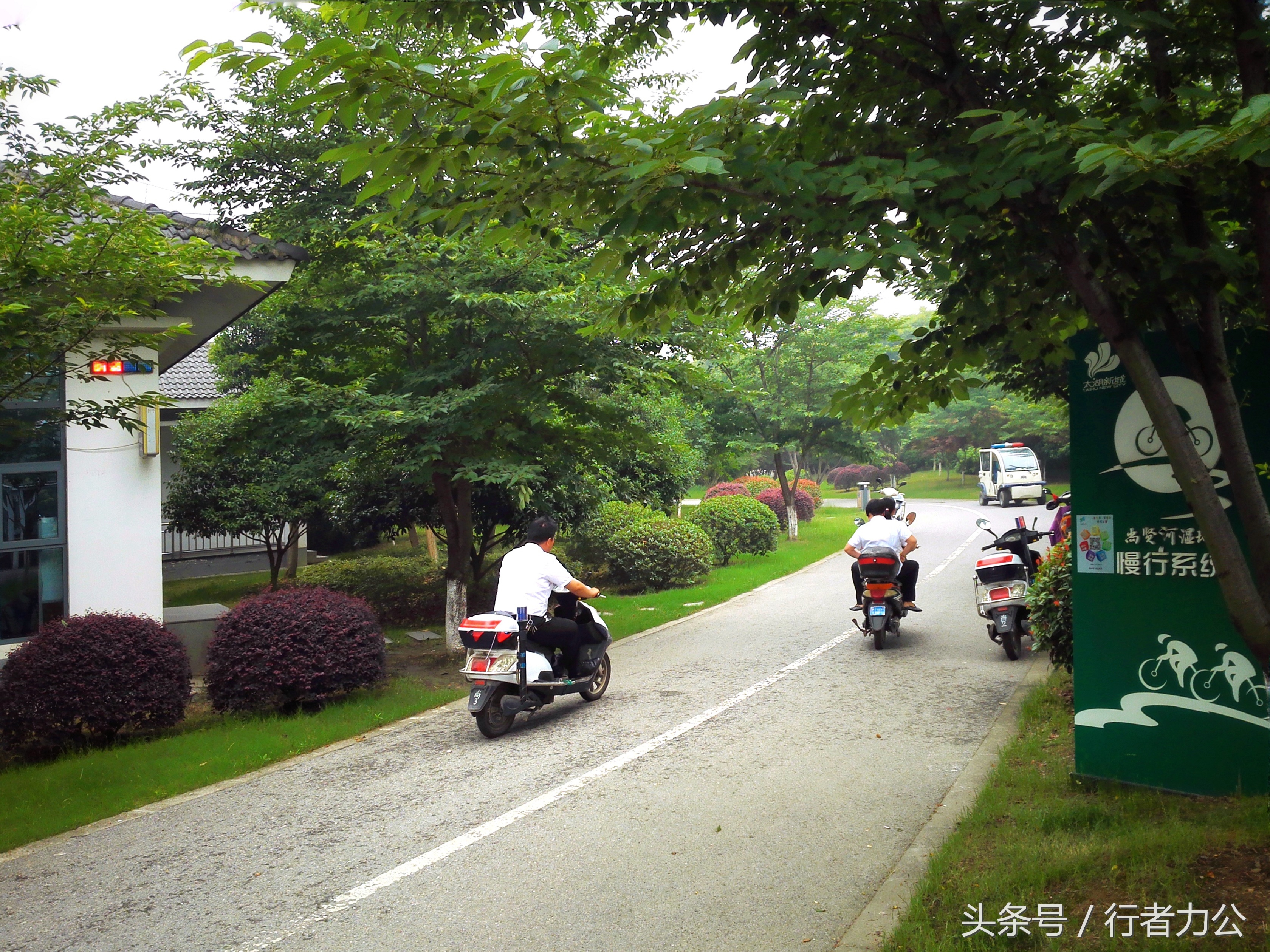 尚贤河湿地公园攻略,尚贤河湿地景点