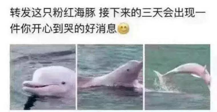 人类最害怕的东西是什么,小龙虾人类史上最悲惨的物种入侵