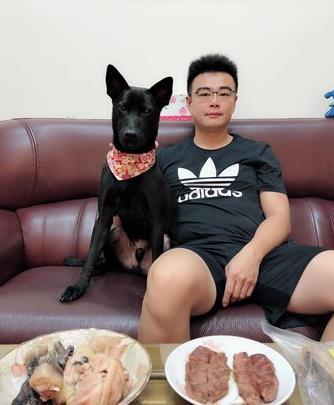 爱是最好的整容方式!狗狗身上长蛆发臭,惹人厌,半年后判若两狗