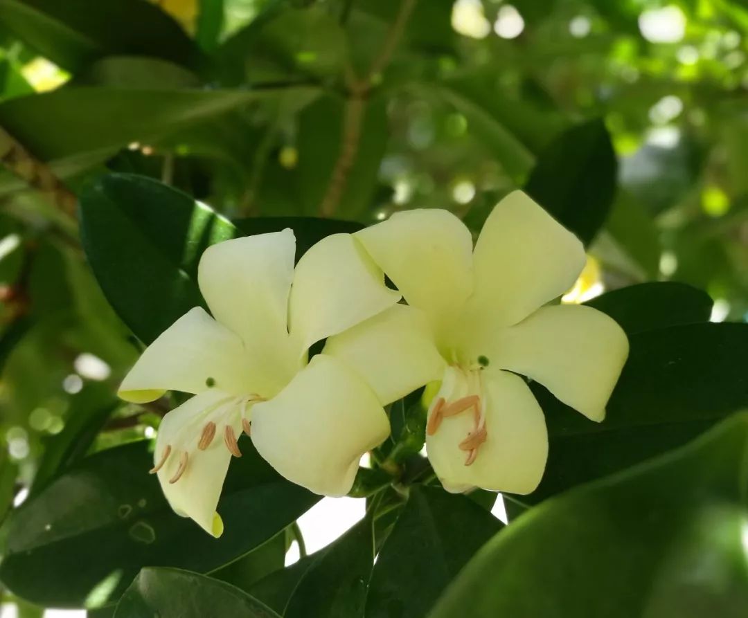 号外号外活动来袭,号外号外活动