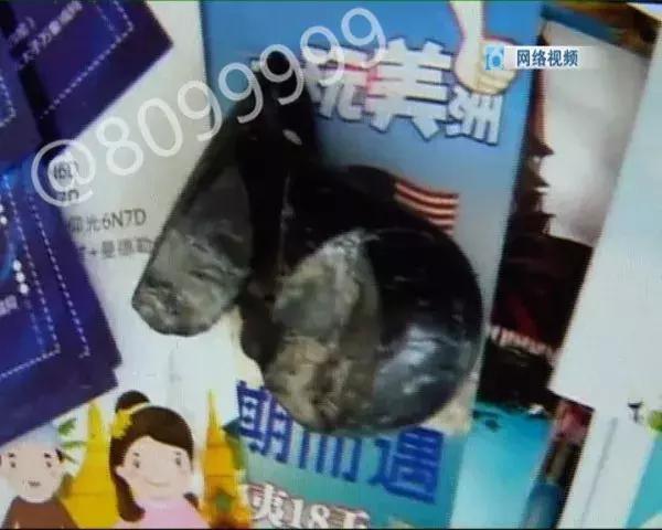 西双版纳陨石价格表,云南西双版纳陨石多少钱一克