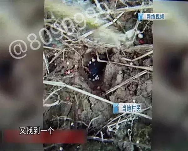 西双版纳陨石价格表,云南西双版纳陨石多少钱一克