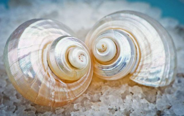 戚薇改版,戚薇变脸抖音