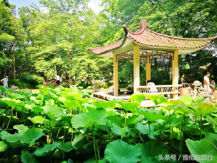 合肥逍遥津始建于哪年,古老的合肥逍遥津