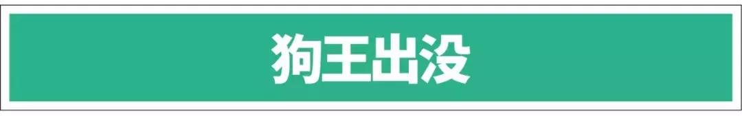 白手起家成大事者修行指南,白手起家指南