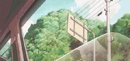 科学小实验小蝌蚪变青蛙的全过程,实验小蝌蚪从水里漂起来