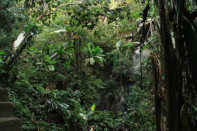 最美樱花温泉,樱花谷泡温泉价目表
