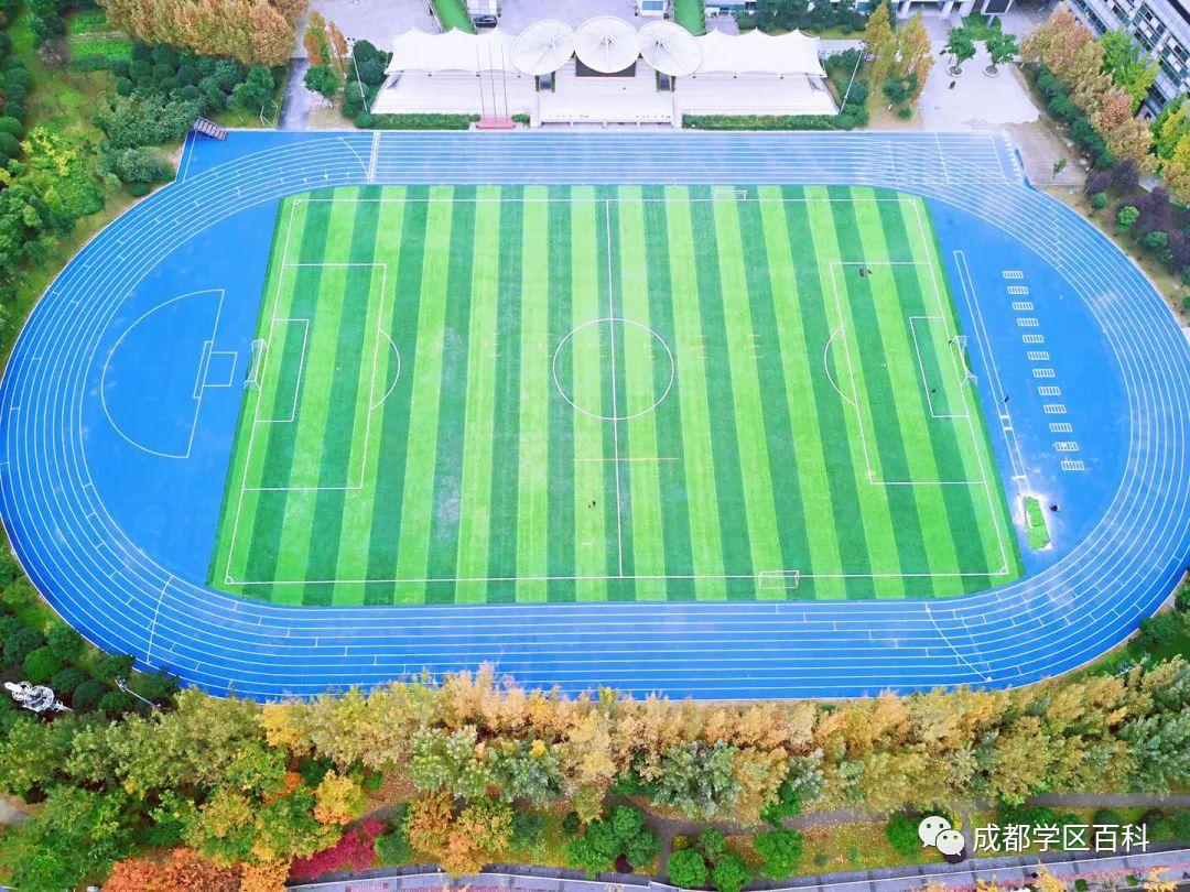 成都四七九初中有哪些,成都四七九中分别是哪些学校