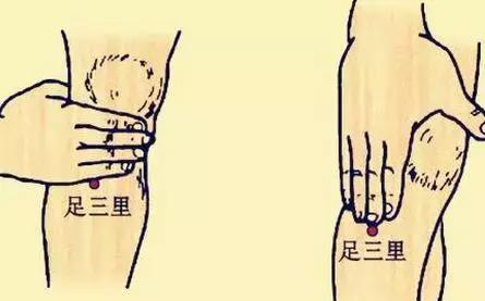 按足三里真的有养生效果吗,足三里神奇功效养生之家