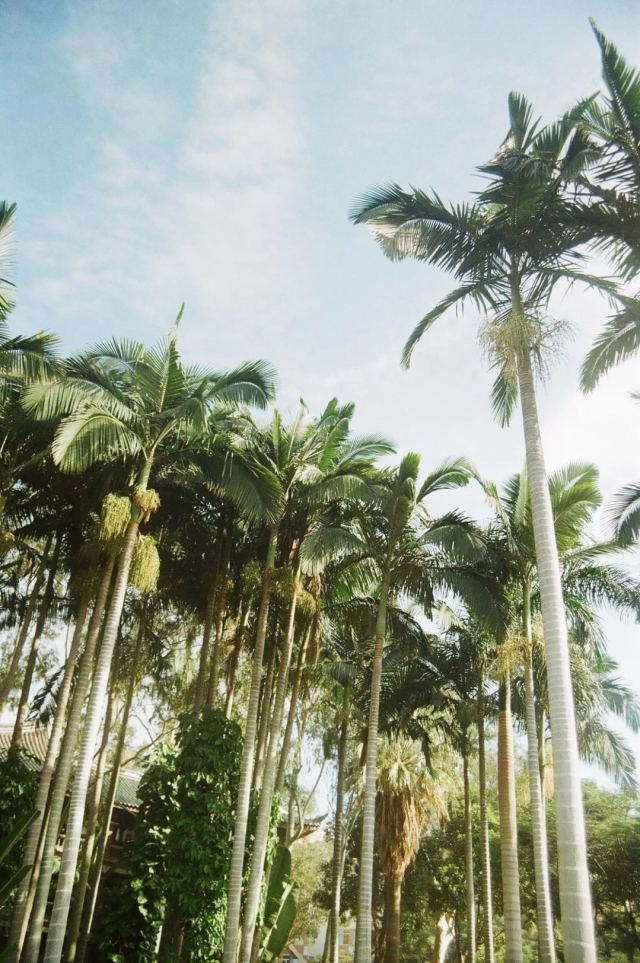 厦门小清新之旅全攻略,厦门周末夏日游