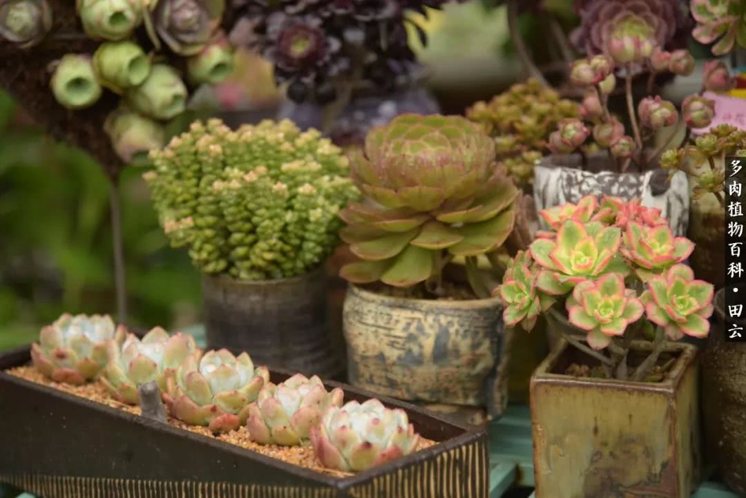 推开世界的门和自己和解,推开世界的门你所看到的风景