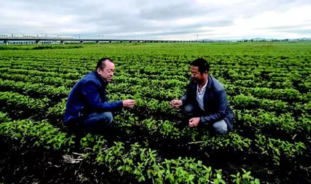 瞄准年轻人的生意才能做大,瞄准啥目标可以发家致富