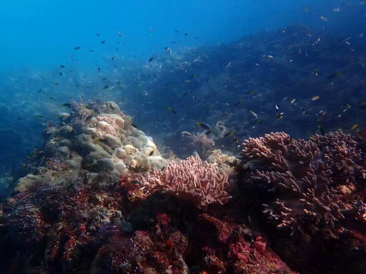 还在纠结要不要去海岛国家｜这个海岛完爆的魅力！
