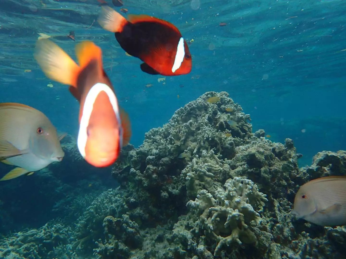 这个海岛国家｜景美人少，一个拍照P图的圣地！