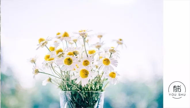 人际交往中的常见误区与解析,在人际交往遇到哪些问题