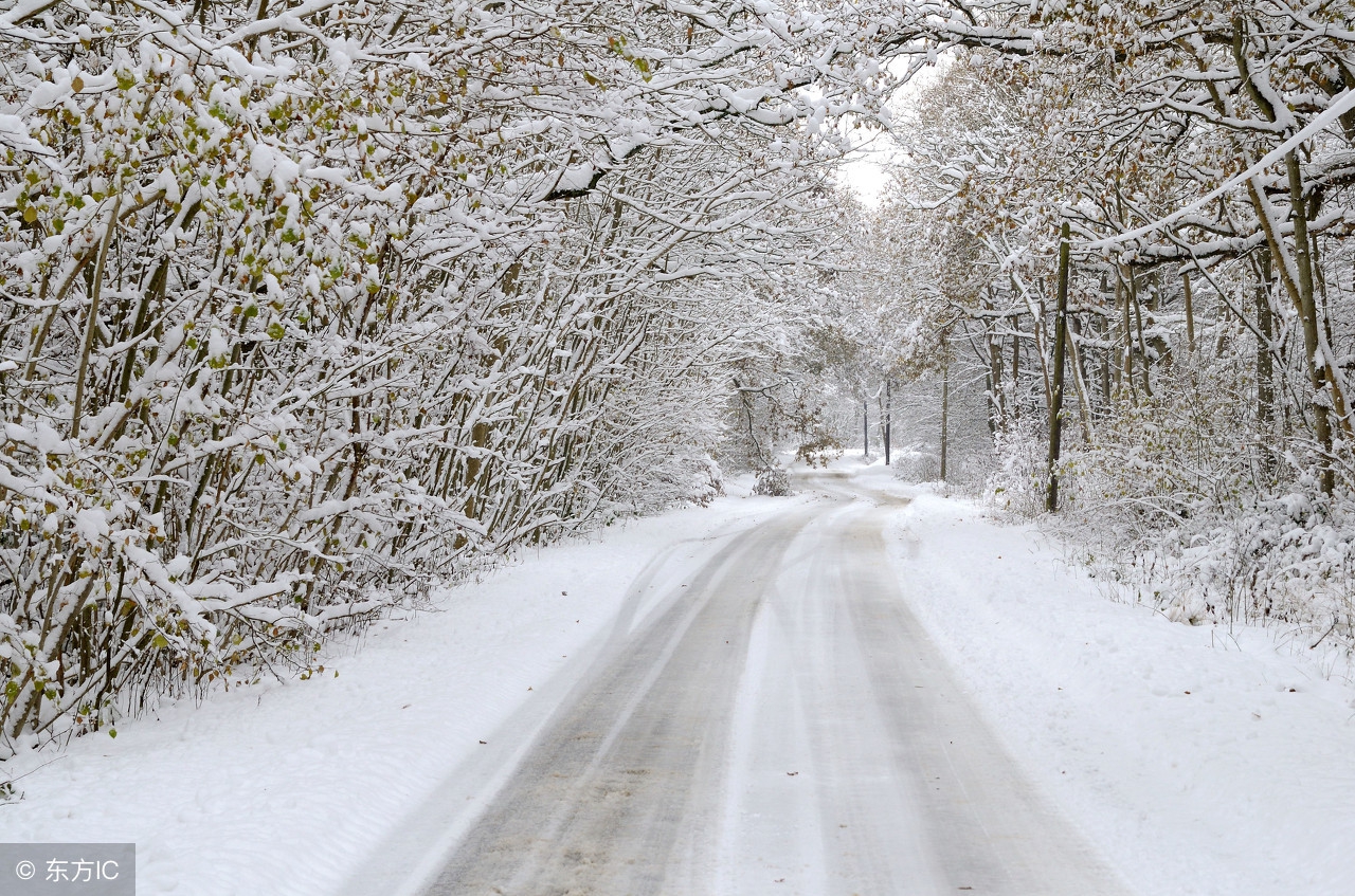 驾考宝典,仁爱版七年级英语重要短语和句型