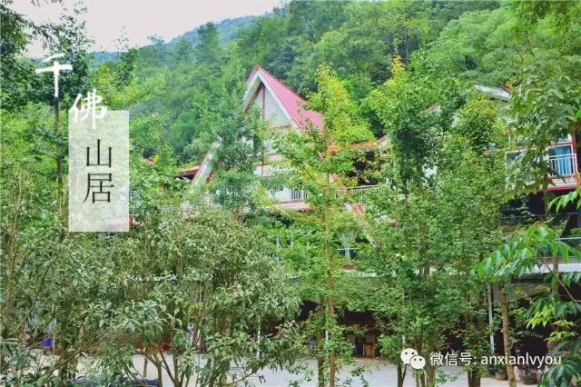 绵阳50元包吃住的民宿,绵阳禅茶清谷民宿哪家好