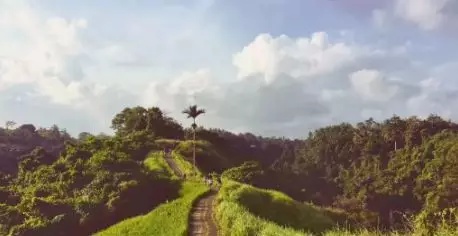 巴厘岛旅游目的地,巴厘岛深度游