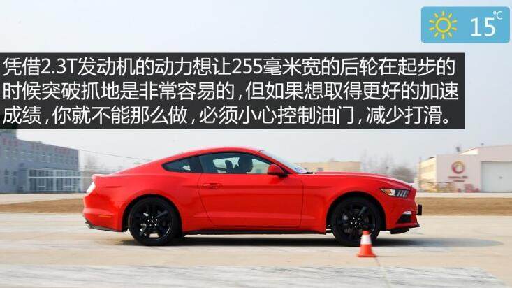 网友：力顶小野马，直喷奥迪宝马 玩脑筋急转弯？